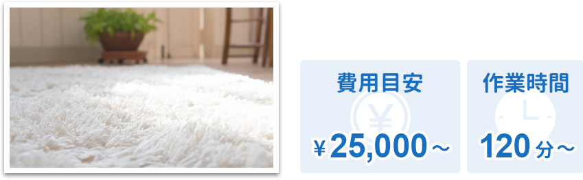 カーペットクリーニング 費用目安¥25,000〜 作業時間120分〜